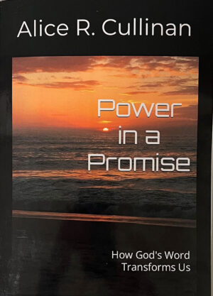 Power in a Promise book cover